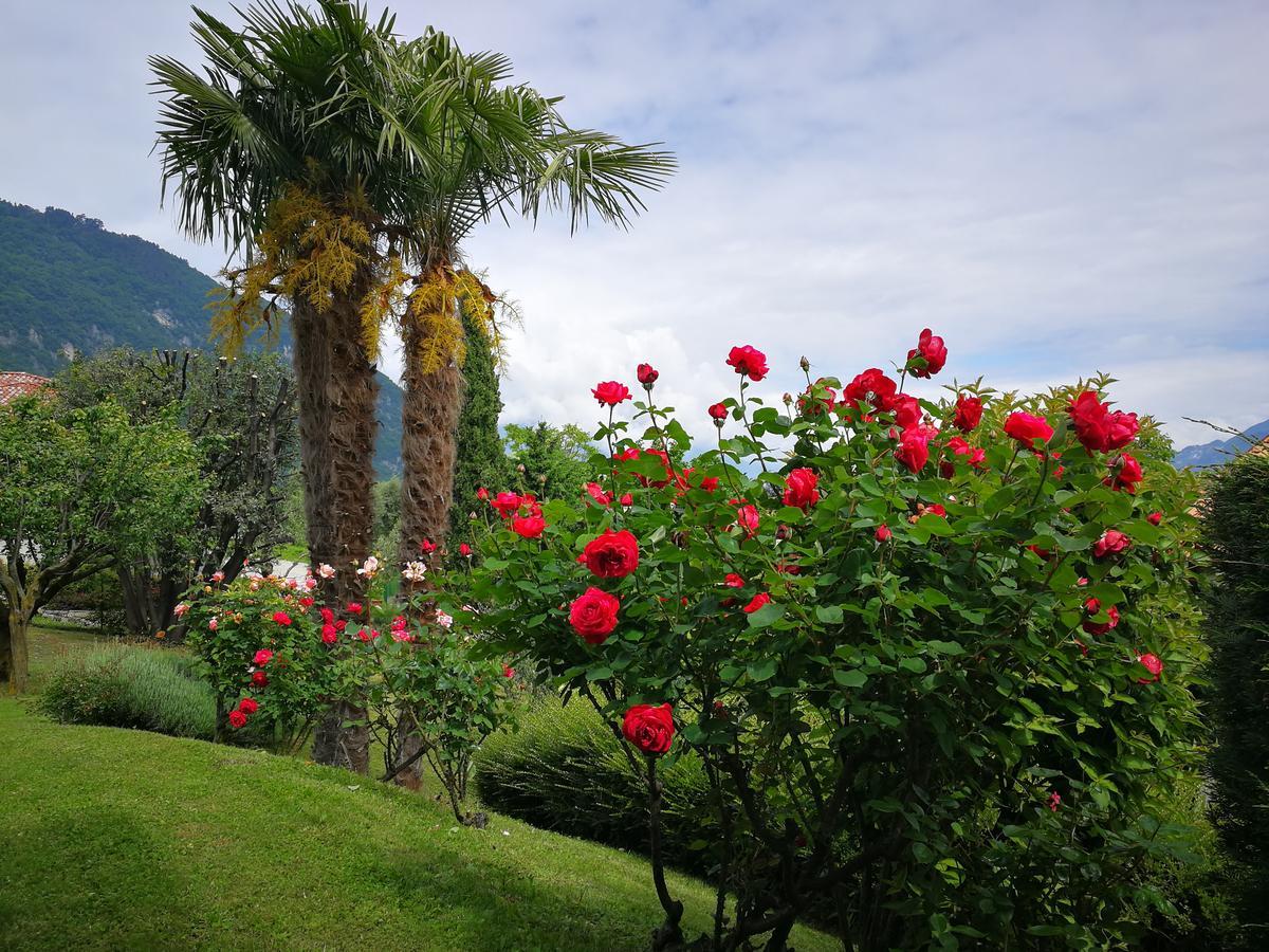 Bellagio Lake View Villa Oliveto Lario Экстерьер фото
