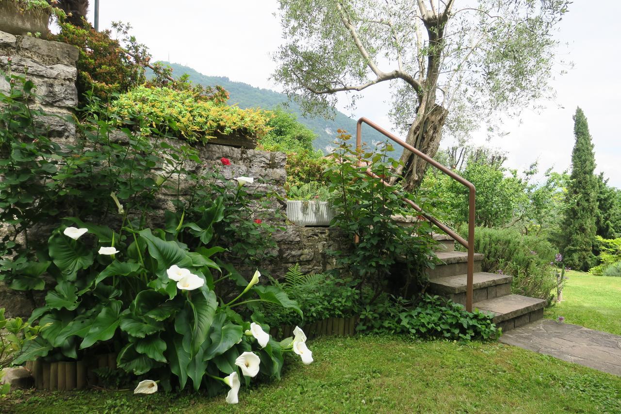 Bellagio Lake View Villa Oliveto Lario Экстерьер фото