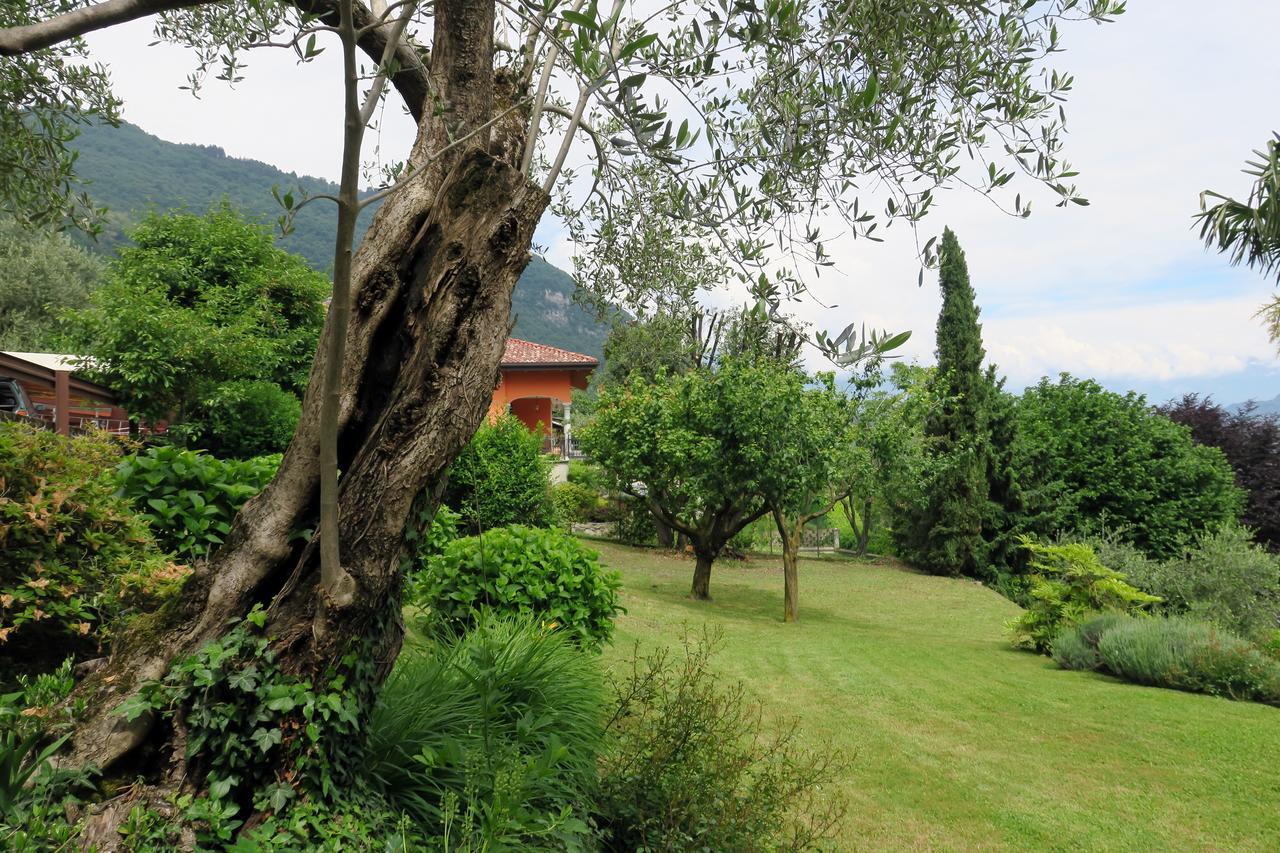 Bellagio Lake View Villa Oliveto Lario Экстерьер фото