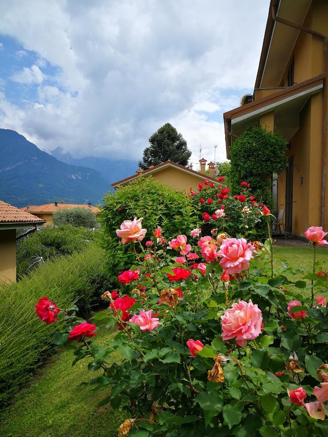 Bellagio Lake View Villa Oliveto Lario Экстерьер фото