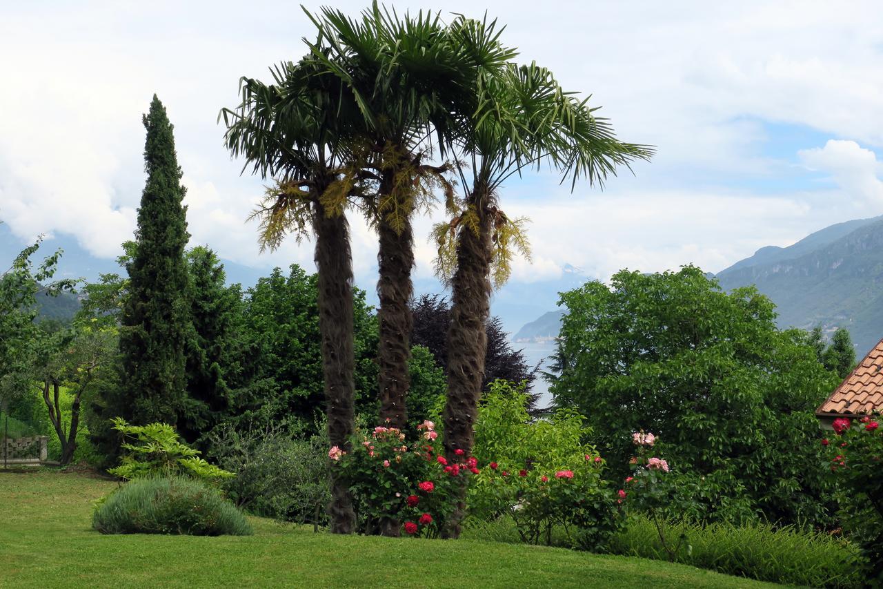 Bellagio Lake View Villa Oliveto Lario Экстерьер фото
